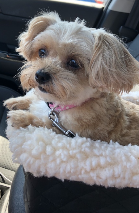 Entry image for Molli. Clicking this image will show a larger photo