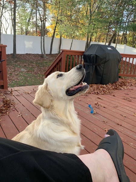 Entry image for Captain. Clicking this image will show a larger photo