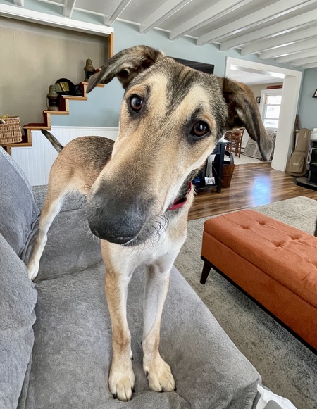 Entry image for Rubble. Clicking this image will show a larger photo