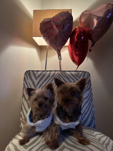 Entry image for Bonnie & Clyde . Clicking this image will show a larger photo