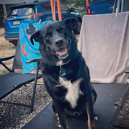 Entry image for Tucker. Clicking this image will show a larger photo