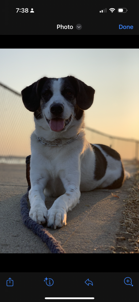 Entry image for Mac . Clicking this image will show a larger photo