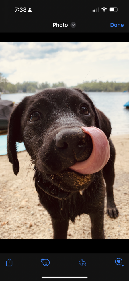 Entry image for Samy . Clicking this image will show a larger photo