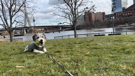 Entry image for Walter . Clicking this image will show a larger photo