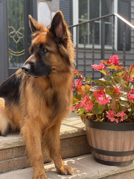 Entry image for Frisco. Clicking this image will show a larger photo