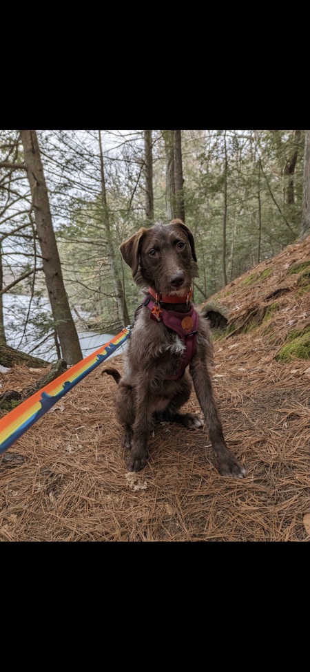 Entry image for Matilda . Clicking this image will show a larger photo