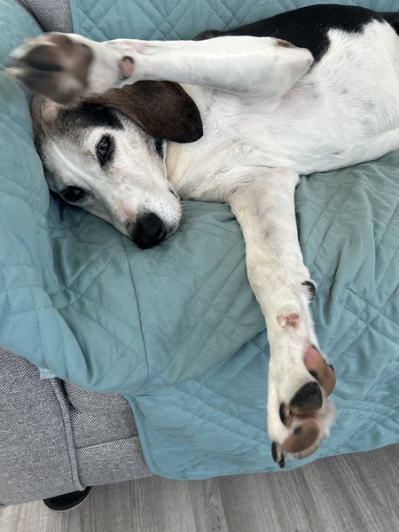 Entry image for Benjamin . Clicking this image will show a larger photo