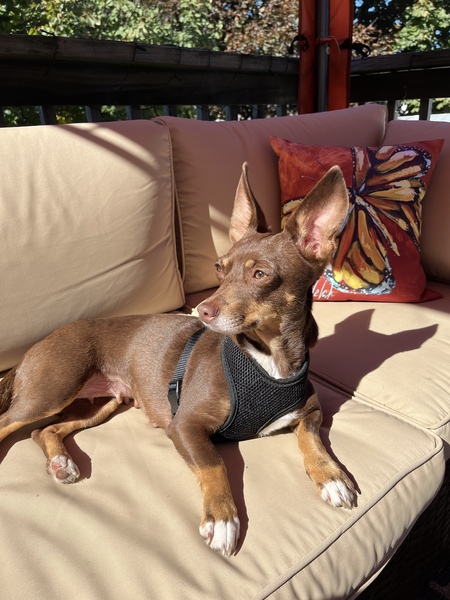 Entry image for Trudy. Clicking this image will show a larger photo