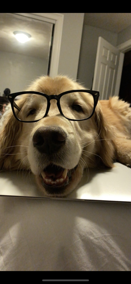 Entry image for Charlie. Clicking this image will show a larger photo