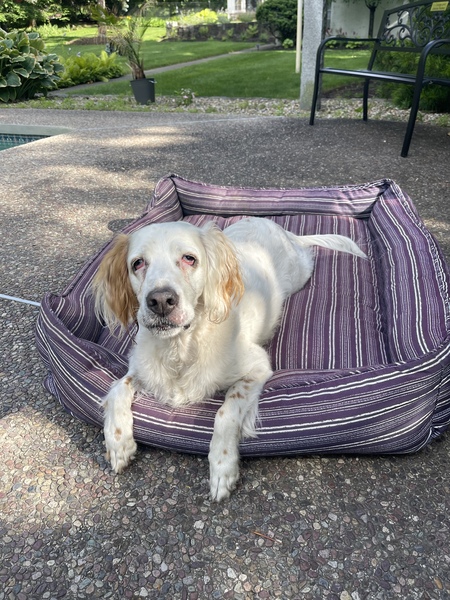 Entry image for Jenny. Clicking this image will show a larger photo