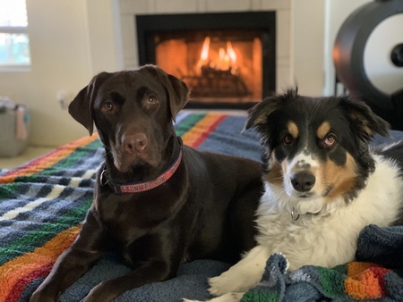 Entry image for Remi & Beni. Clicking this image will show a larger photo