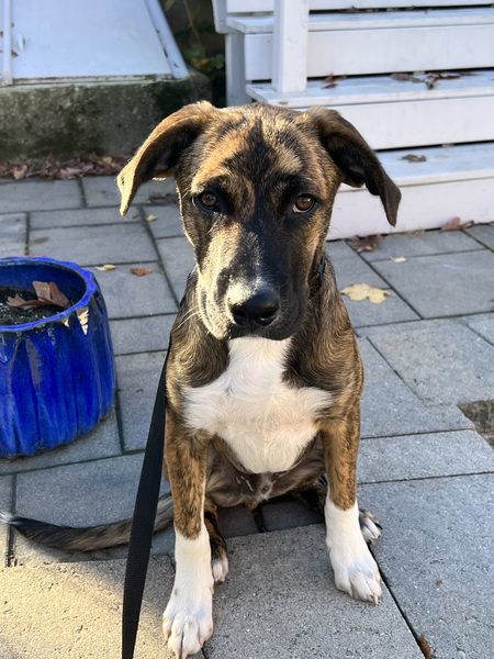 Entry image for Kodak. Clicking this image will show a larger photo