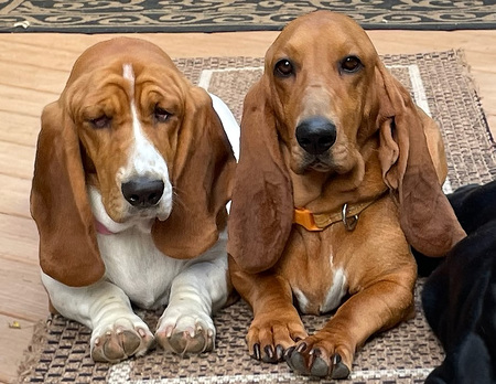 Carly June and Gracie Mae