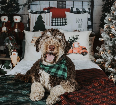 Gus
