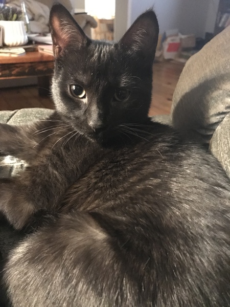 Jim