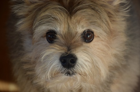 Jack