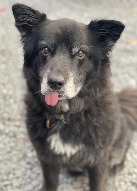 Cooper Cosmo