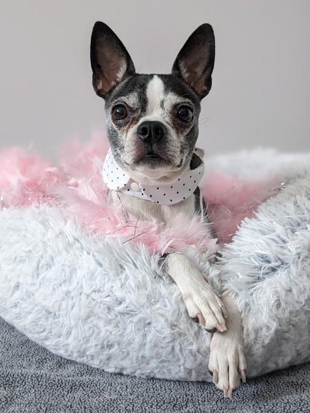 Margo