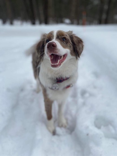 Murphy
