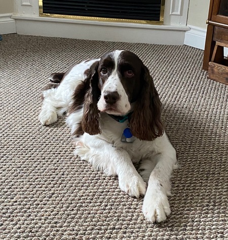 Sam