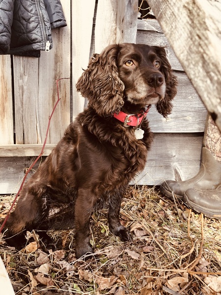 Ellie