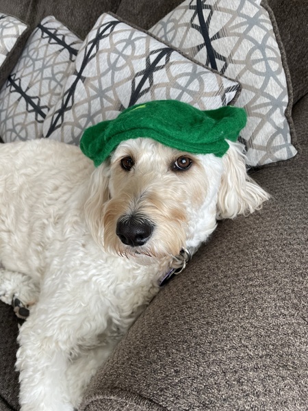 Aoife