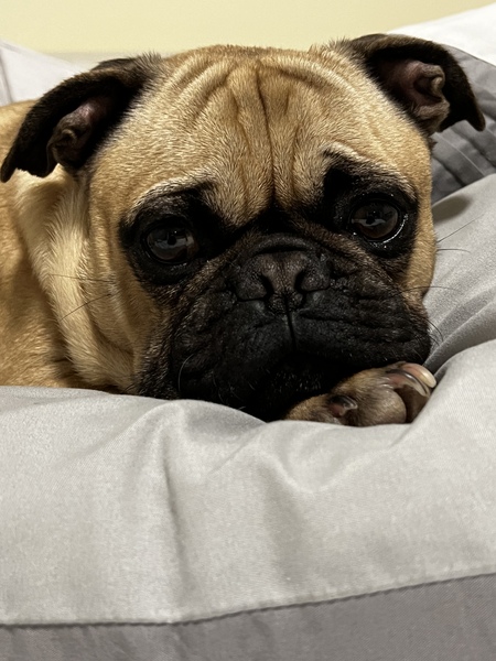 Wally