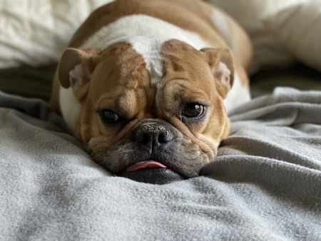 Ellie