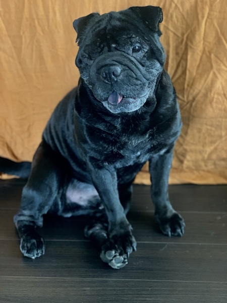 Winston