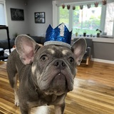 Entry image for Lenny