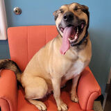 Entry image for fraulein