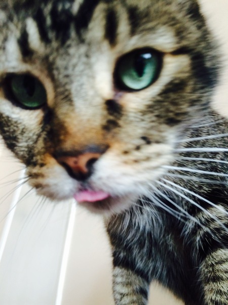 Moey  - 21 yrs. old!