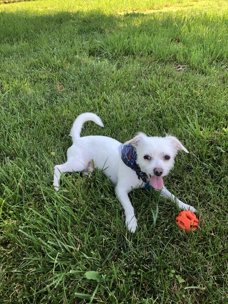 Tyson