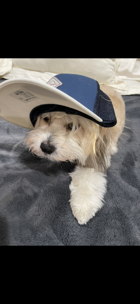 Charlie