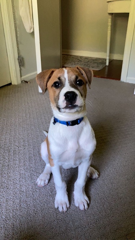 Finn