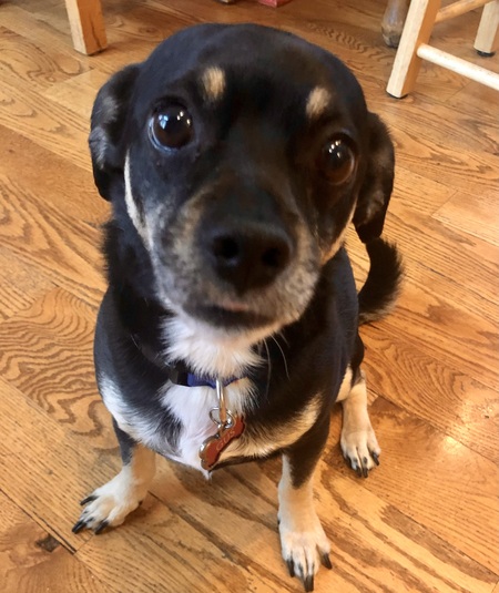 Gus