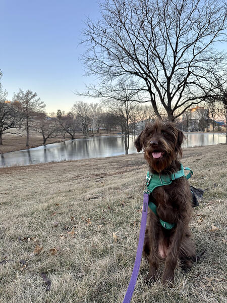 Entry image for Misa. Clicking this image will show a larger photo