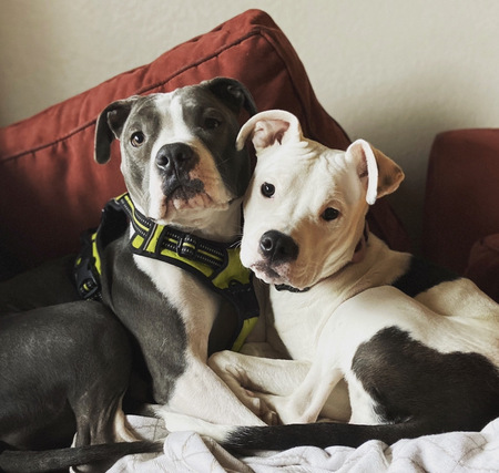 Mia & Jade
