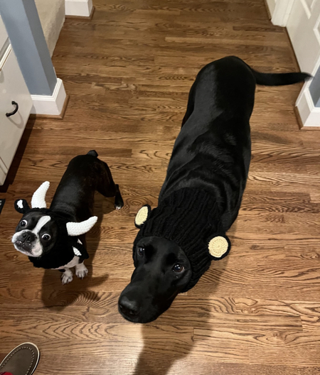 Beans & Winnie