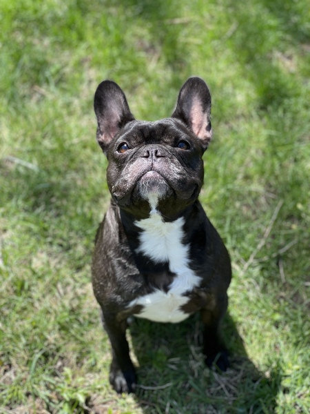 Benjy