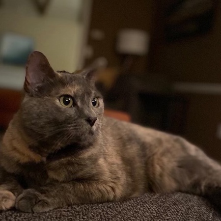 Sophie