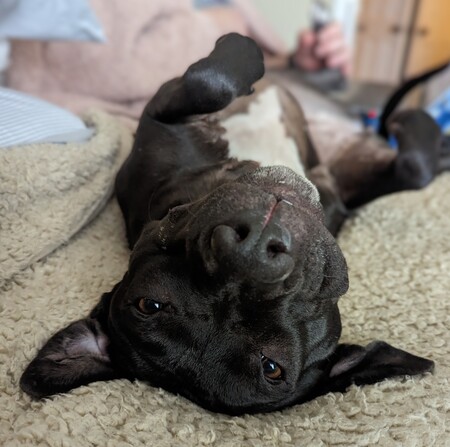 Darcy