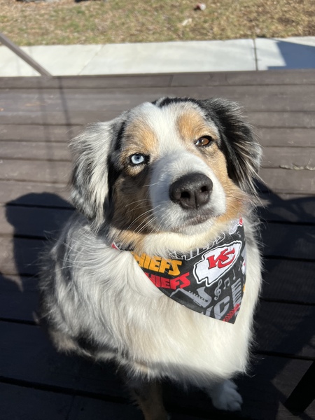 Sawyer