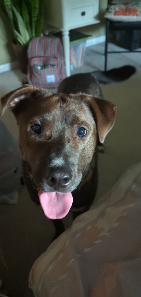 Rudy