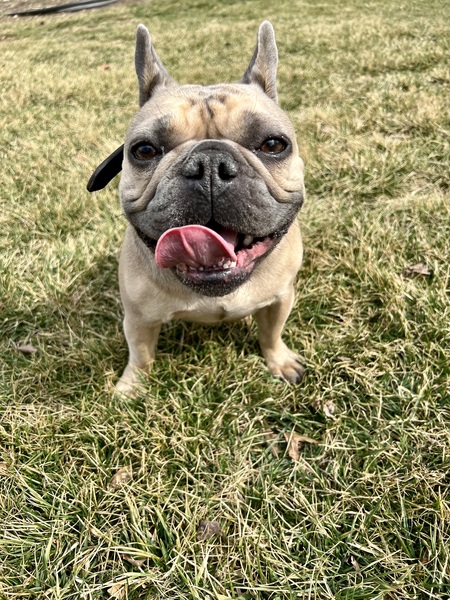 Norman