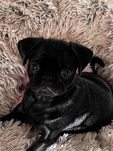 Walter