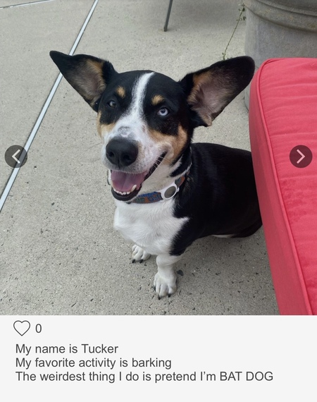 Tucker