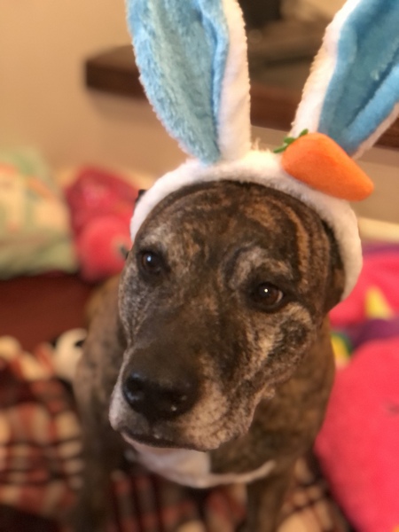 Pepper