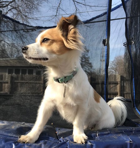 Charlie