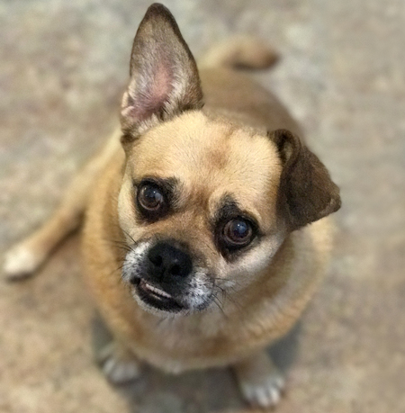 Bella